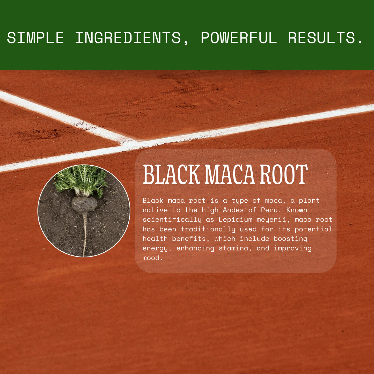 Maca Root for Weight Gain - Super Maca Root